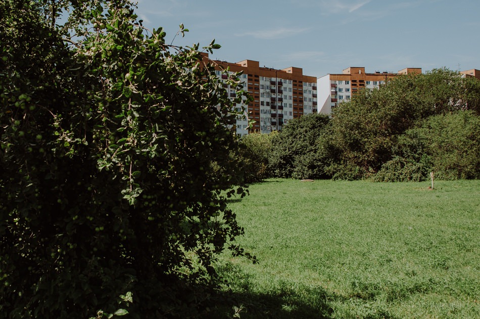 reportaż ślubny w katowicach, fotograf ślubny katowice
