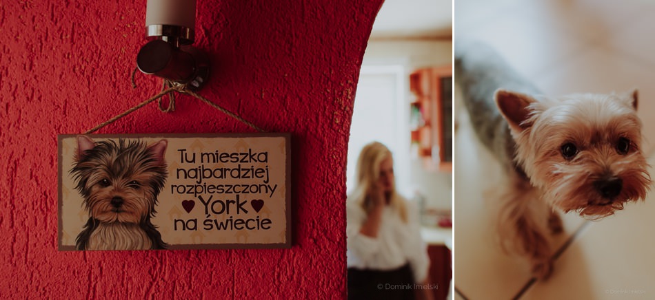 reportaż ślubny w katowicach, fotograf ślubny katowice